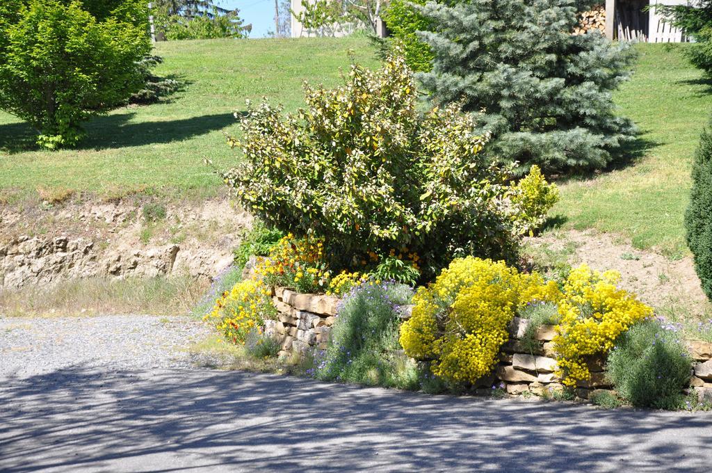 La Bergerie Bed and Breakfast Pollionnay Eksteriør billede